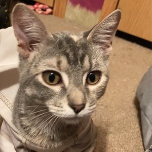 Meet your Posher, Anna